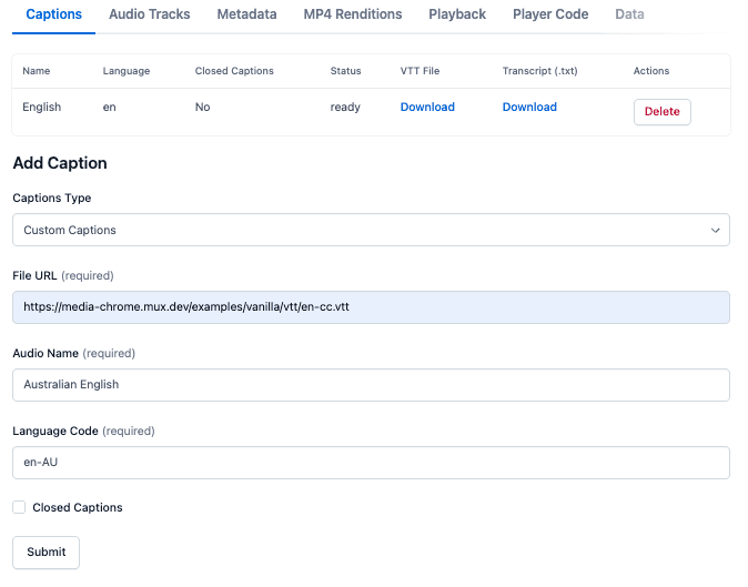 Adding custom captions/subtitles