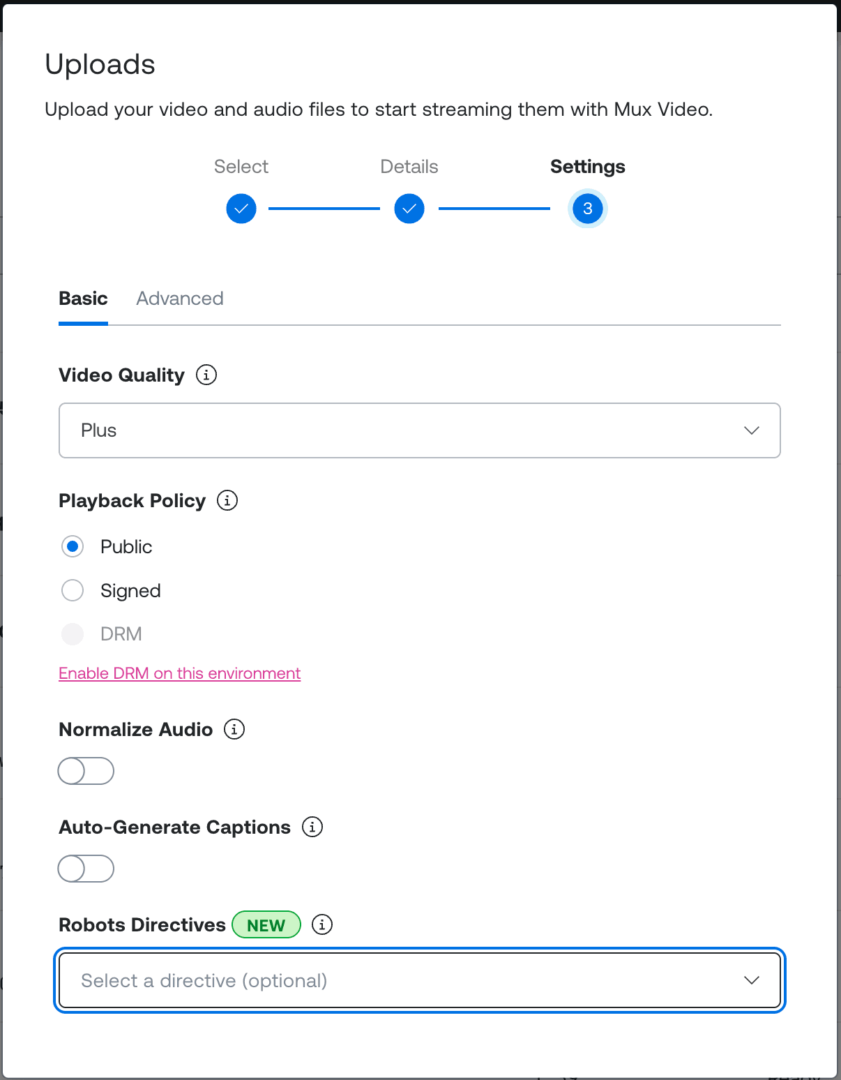 The Settings step of the asset creation dialog with the Directives field set.